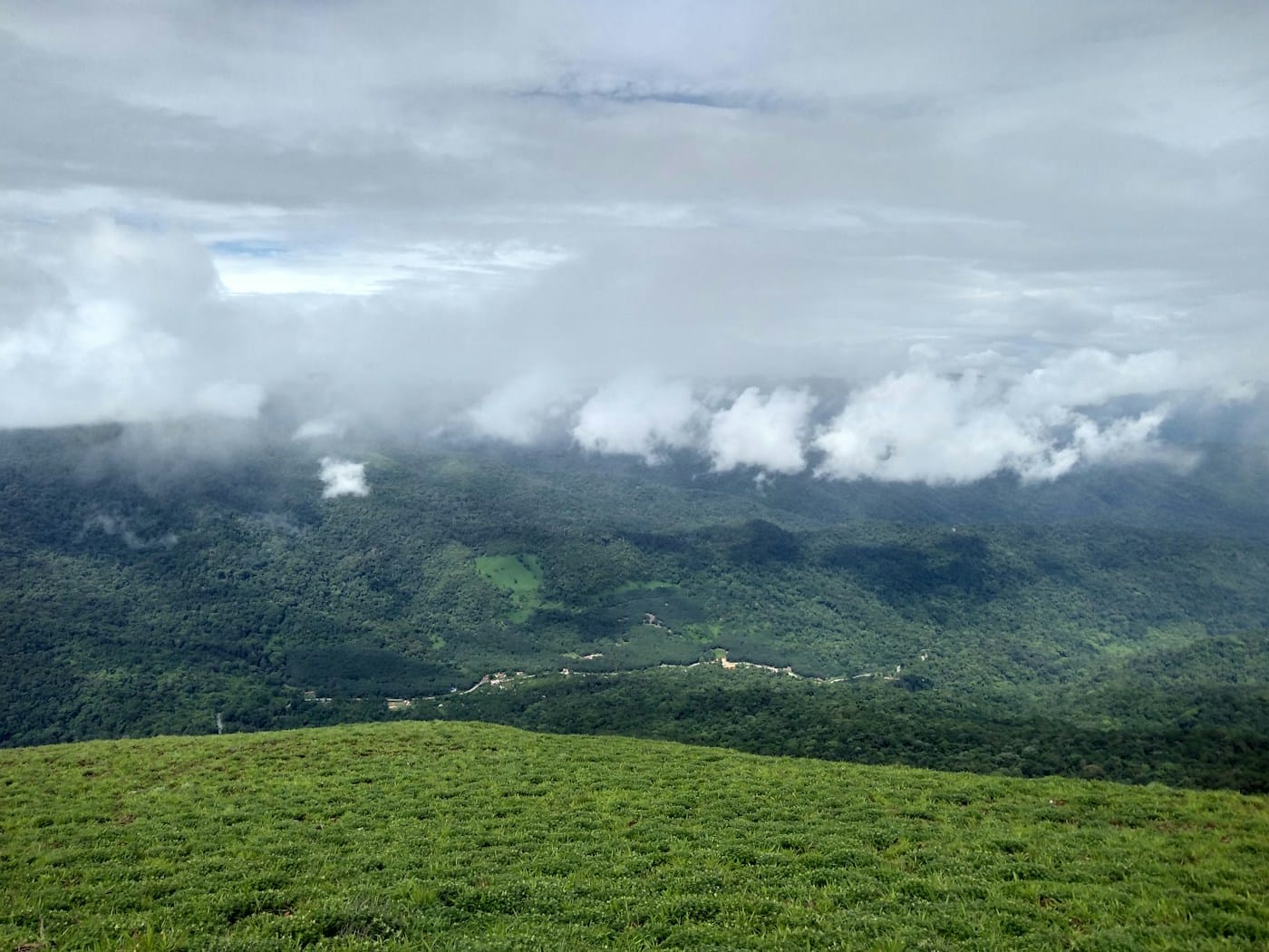 Coorg — Western Ghats